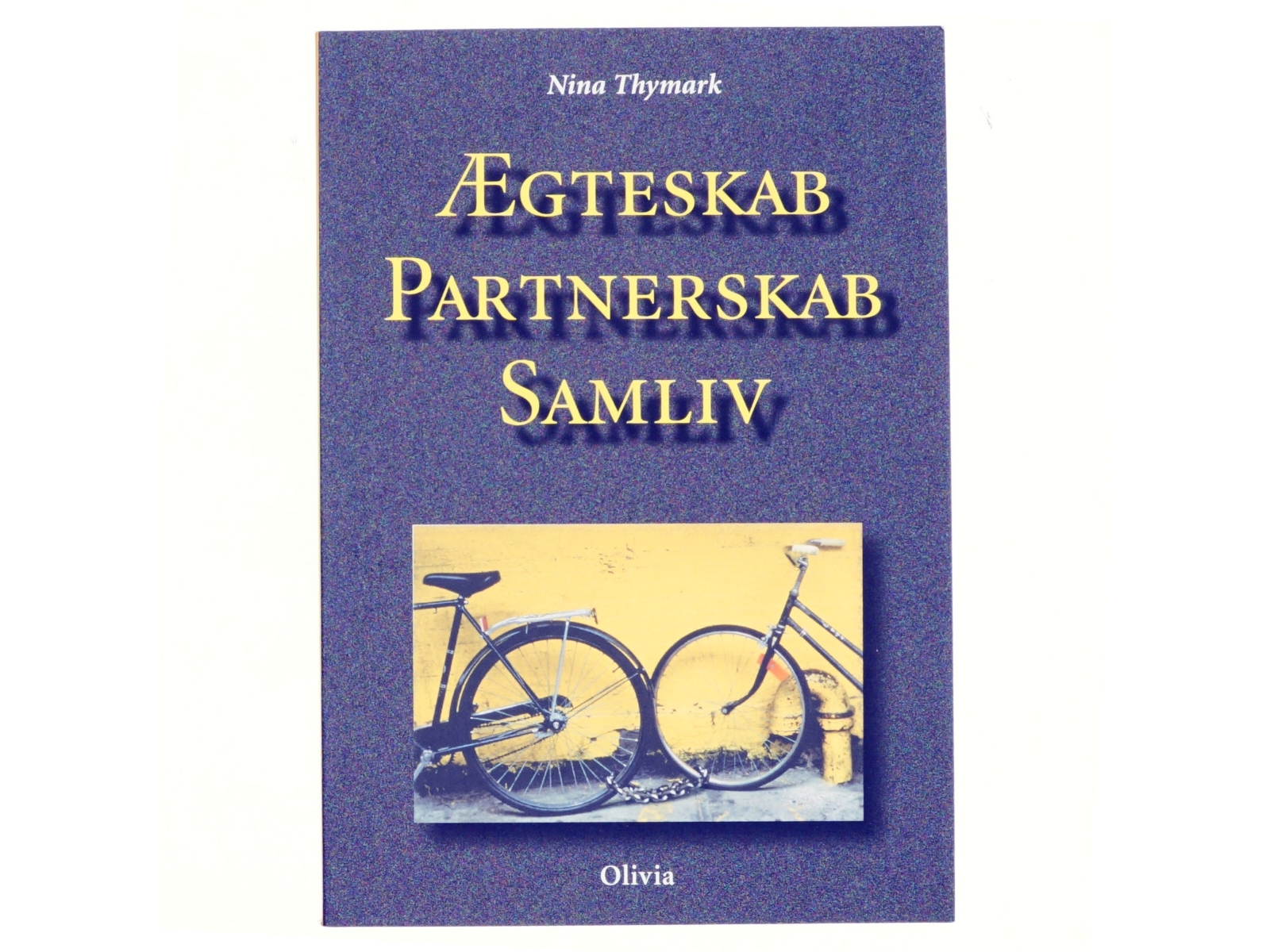 Ægteskab - partnerskab - samliv af Nina Thymark (Bog)