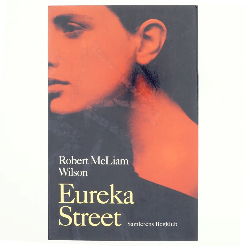 Eureka street af Robert McLiam Wilson