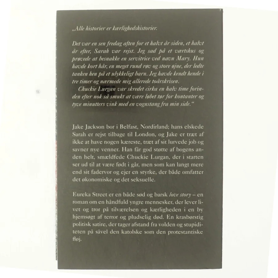 Eureka street af Robert McLiam Wilson