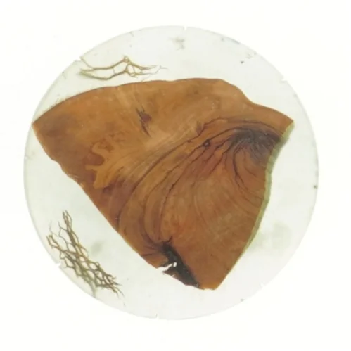 Dekorativ bordskåner med naturmotiv (str. Ø 11 cm)