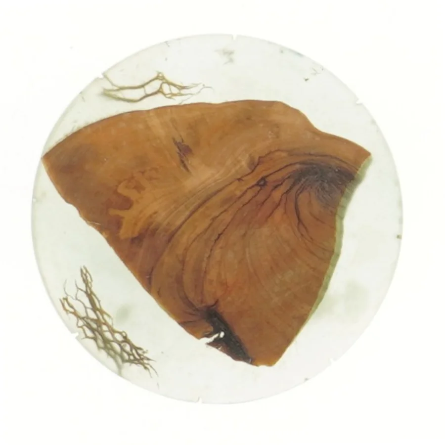 Dekorativ bordskåner med naturmotiv (str. Ø 11 cm)