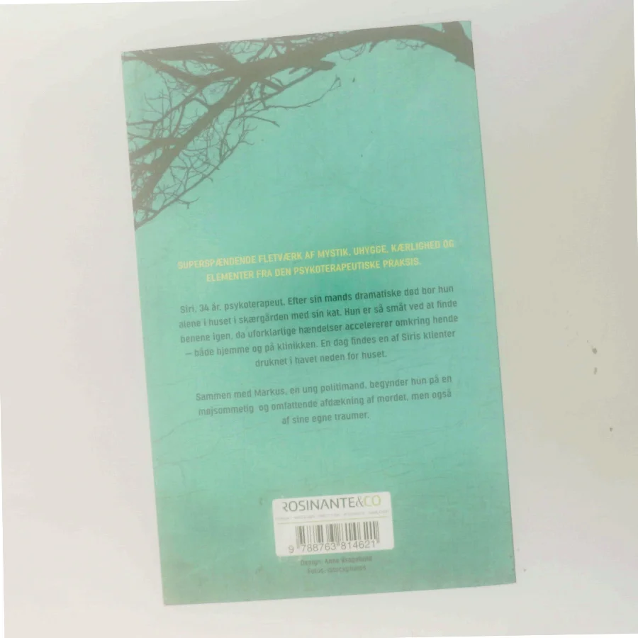 Jeg ser dig af Camilla Grebe (Bog)