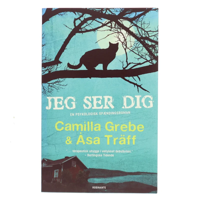 Jeg ser dig af Camilla Grebe (Bog)