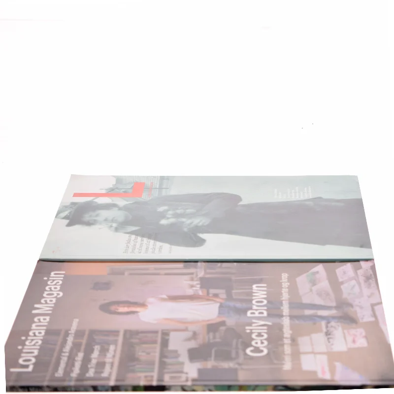 Louisiana Magasin af Elemental & Alejandro Aravena (Bog)