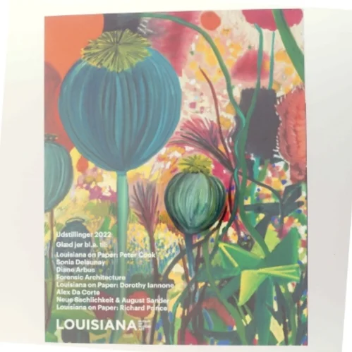 Louisiana Magasin af Sonia Delaunay (Bog)