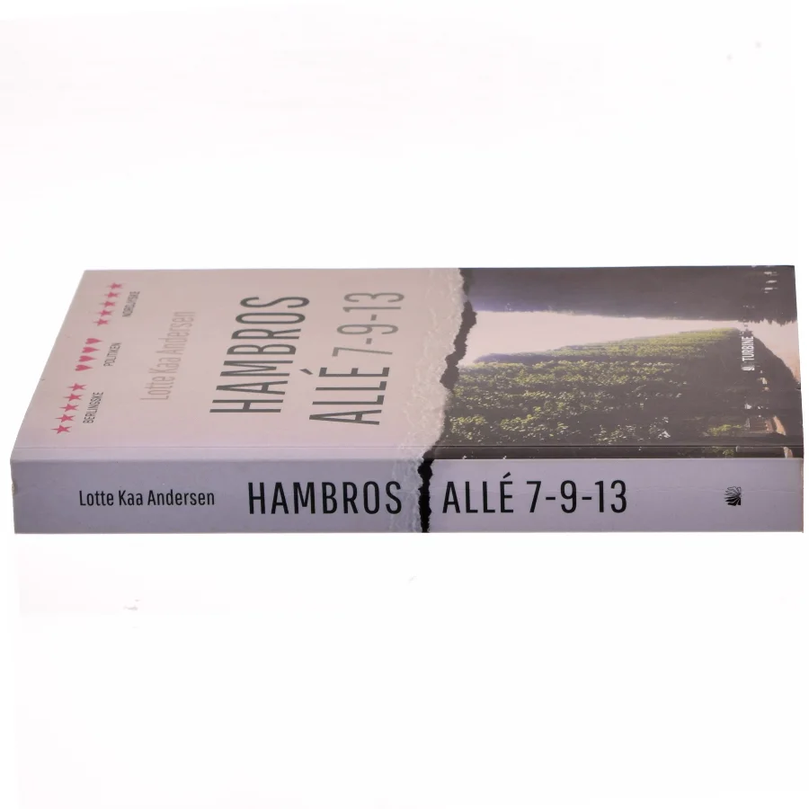 Hambros Allé 7-9-13 : roman af Lotte Kaa Andersen (Bog)