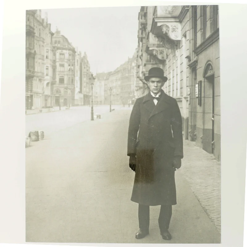 Det Kolde Øje - Tyskland i 1920'erne (Bog)