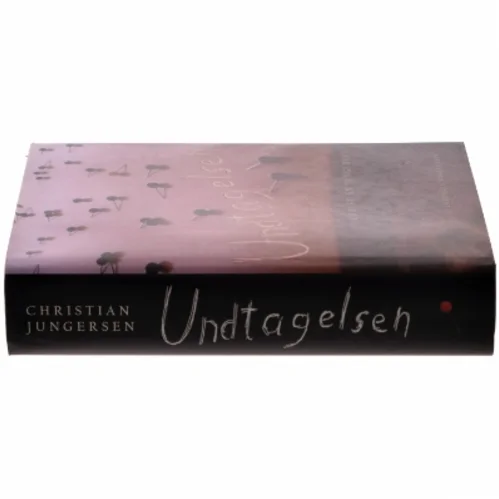Undtagelsen : roman af Christian Jungersen (Bog)