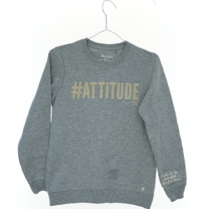 Sweatshirt (str. 164 cm)