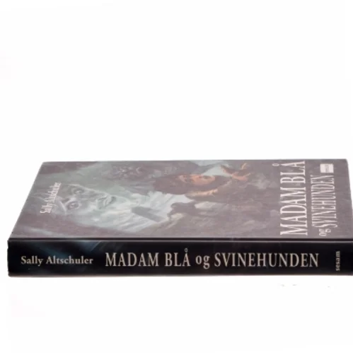Madam Blå og Svinehunden af Sally Altschuler (Bog)