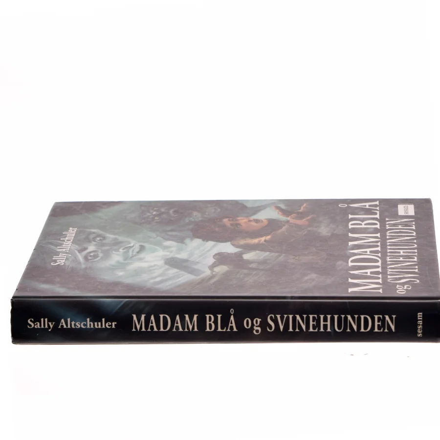 Madam Blå og Svinehunden af Sally Altschuler (Bog)