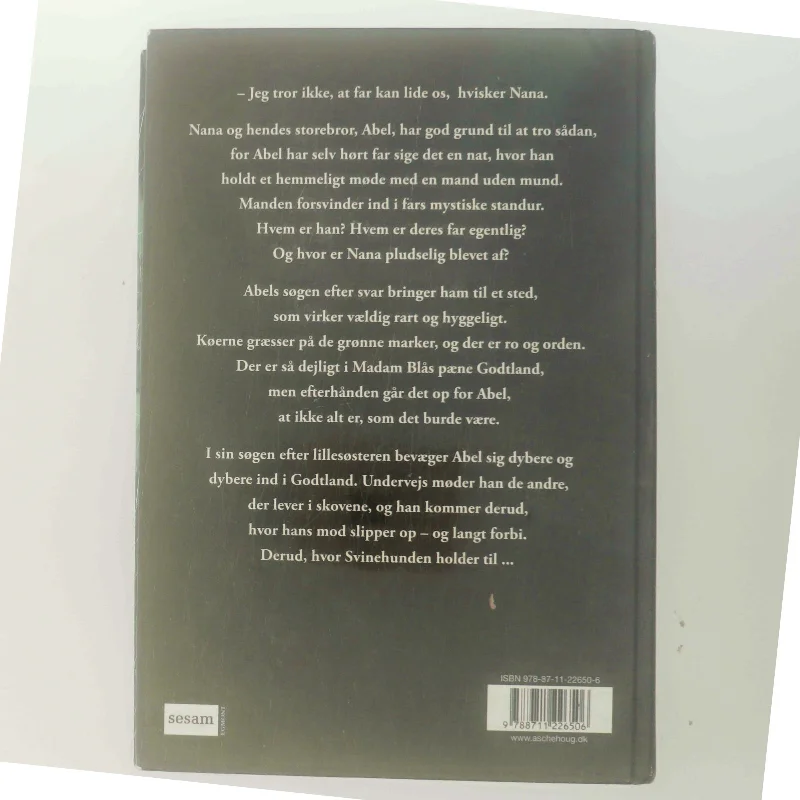 Madam Blå og Svinehunden af Sally Altschuler (Bog)