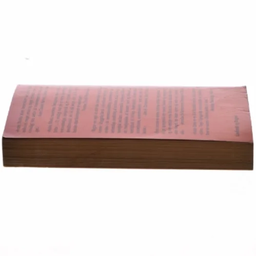 Rygter om regn af André Brink (Bog)