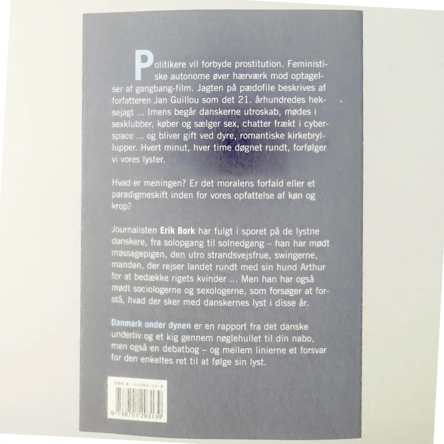 Danmark under dynen : fra bryllup til bunkepul af Erik Bork (f. 1973) (Bog)