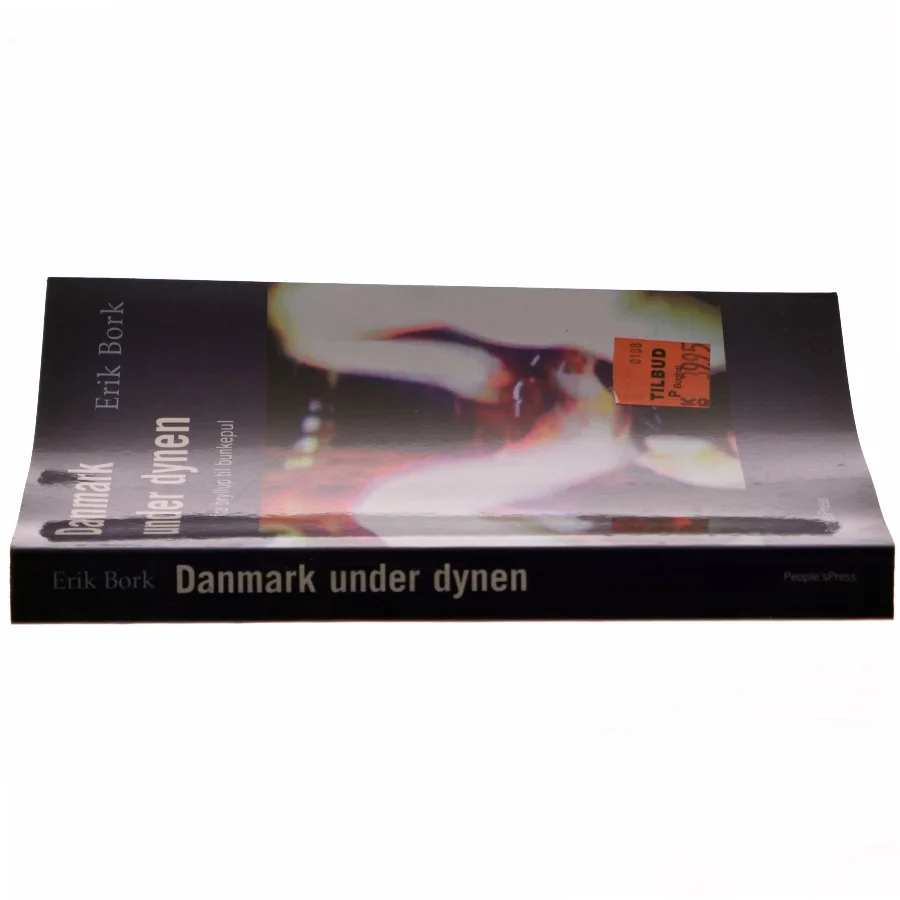 Danmark under dynen : fra bryllup til bunkepul af Erik Bork (f. 1973) (Bog)