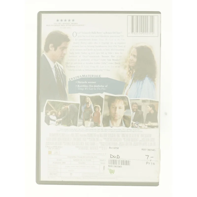 Things We Lost in the Fire