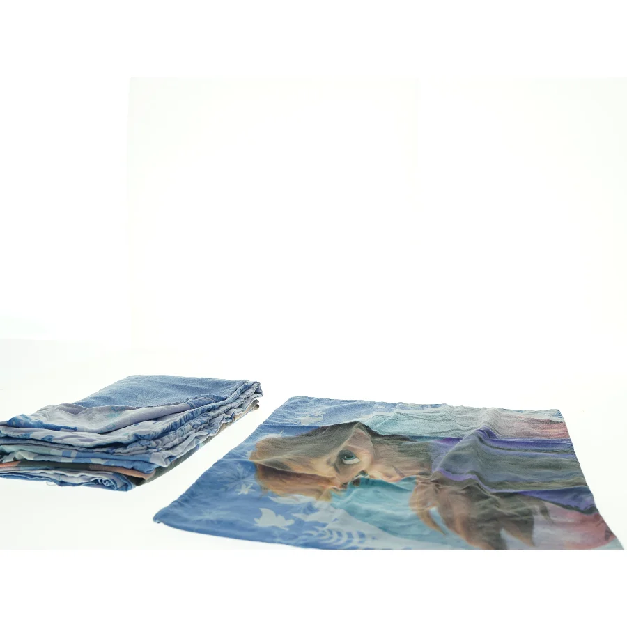 Sengetøj med Frost-tema fra Frozen (str. 85 x 128 cm 45 x 38 cm)