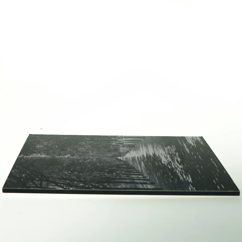 Sort/hvid billede af en træallé (str. 32. x 24 cm)