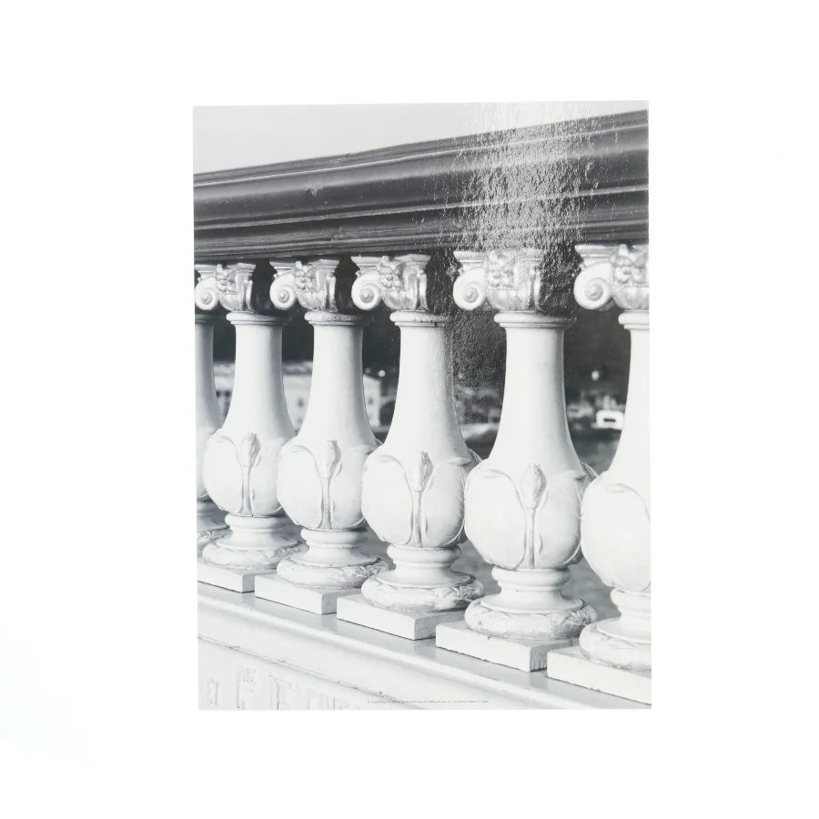 Sort-hvid billede 32 x 24 cm (str. 32 x 24 cm)