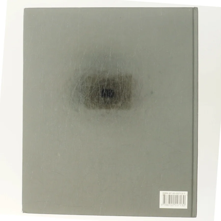 Cajun & kreolerkøkkenet af Lynn Andersen (f. 1945) (Bog)