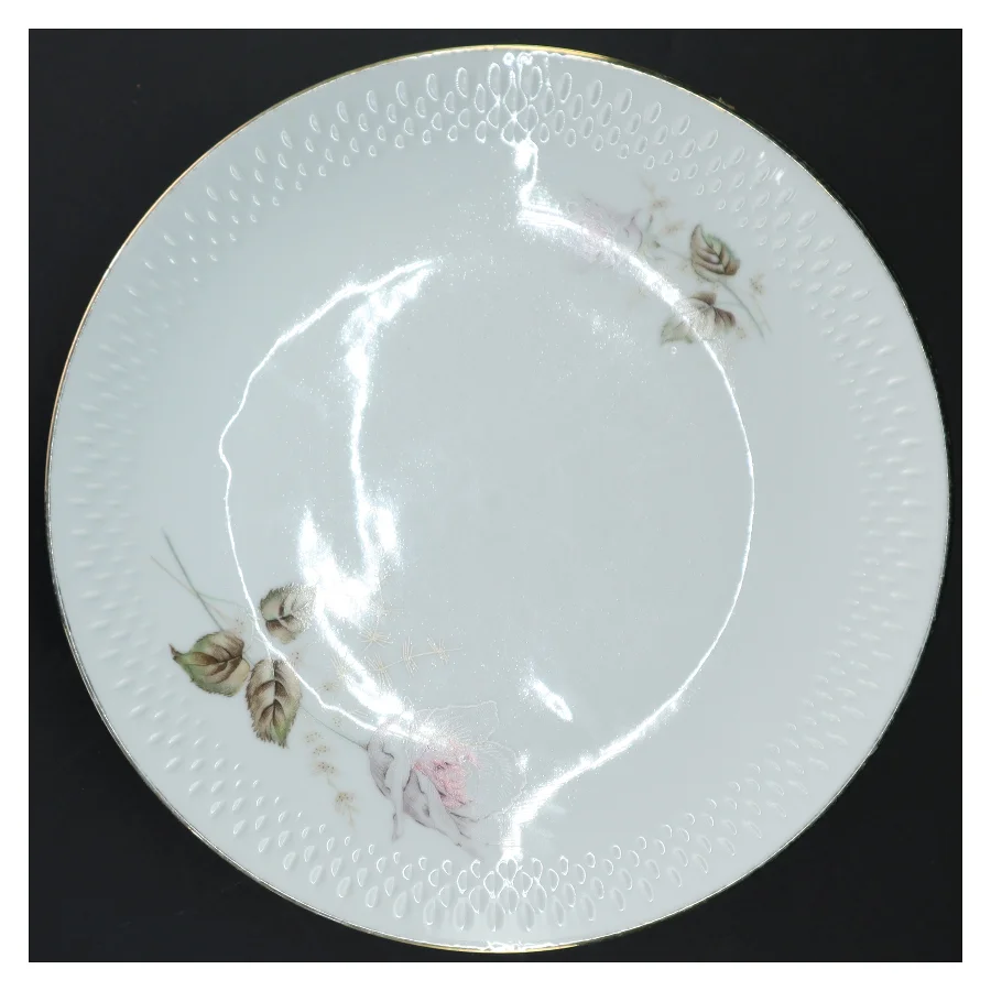 Porcelænsmiddagstallerkener fra Edelstein (str. 24 cm)