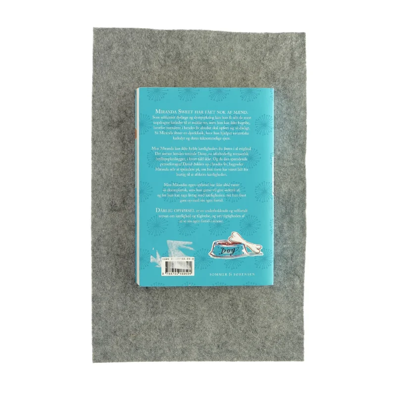 Dårlig opførsel af Isabel Wolff (bog)