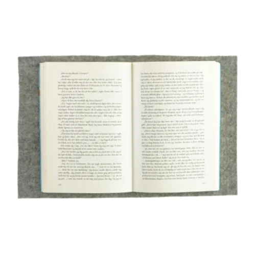 Dårlig opførsel af Isabel Wolff (bog)