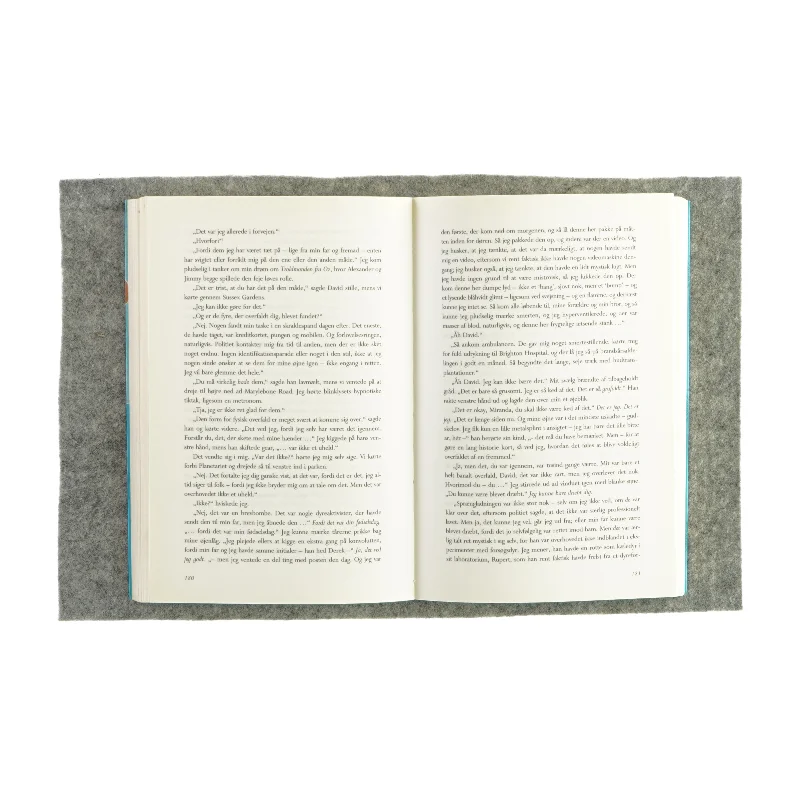 Dårlig opførsel af Isabel Wolff (bog)