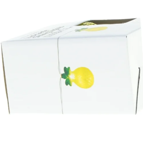 Lyskæde fra Tiger (str. De 285 m)