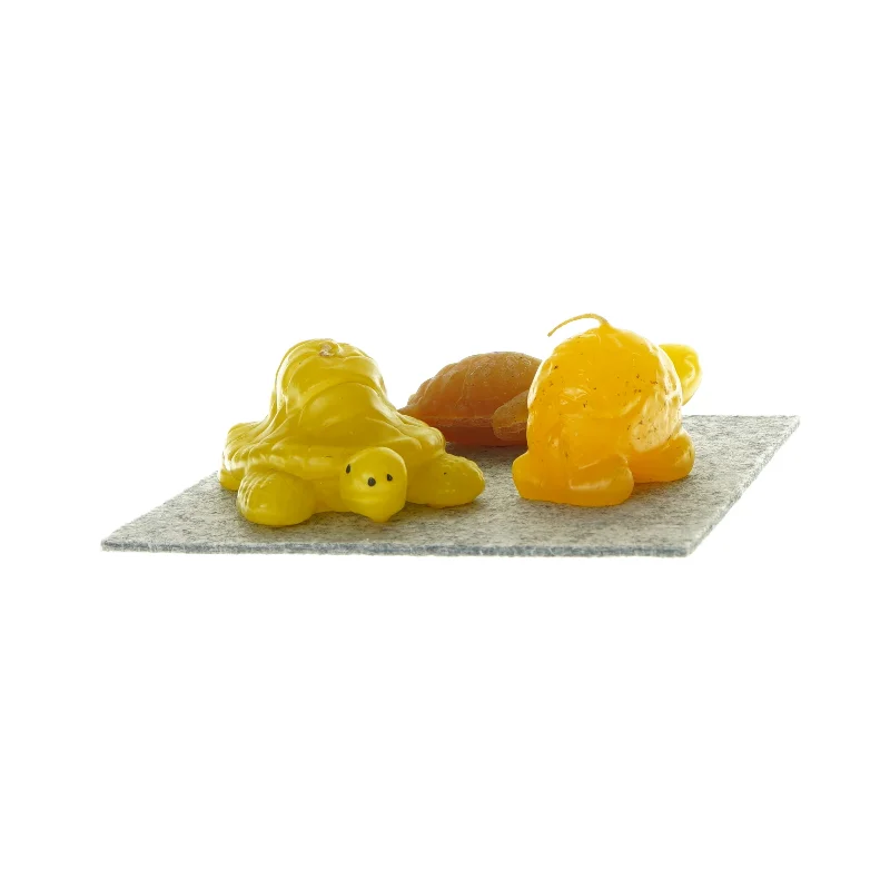 Skildpadde stearinlys