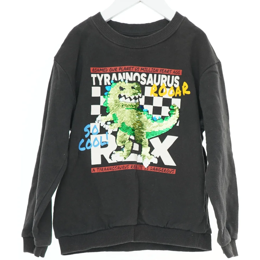 Sweatshirt med dinosaur print fra H&M (str. 122)