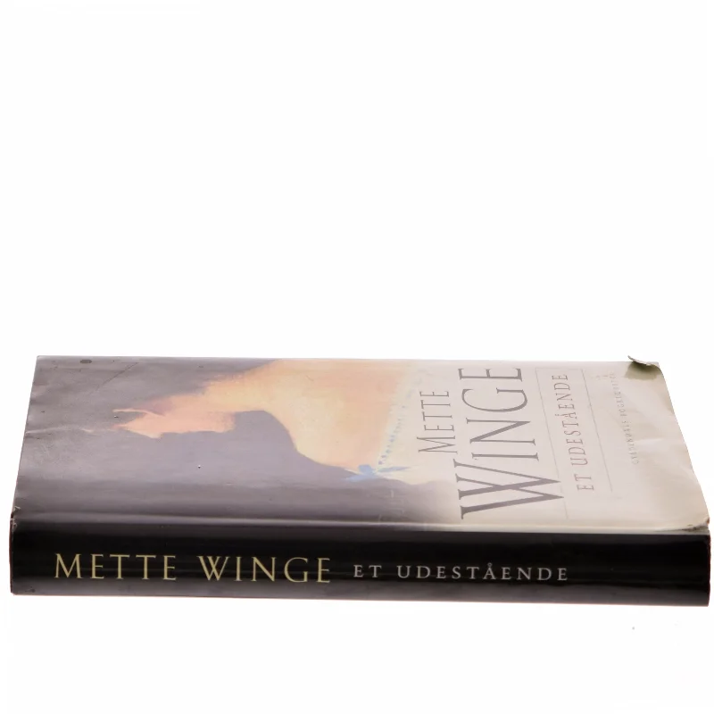 Et udestående af Mette Winge (Bog)