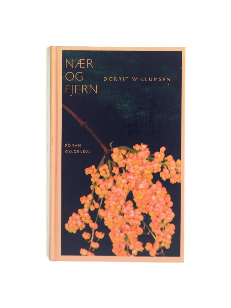 Forsiden af Nær og fjern af Dorrit Willumsen
