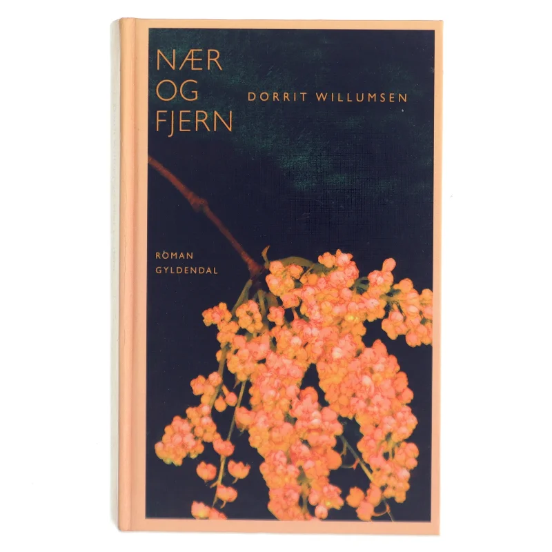 Nær og fjern af Dorrit Willumsen (Bog)