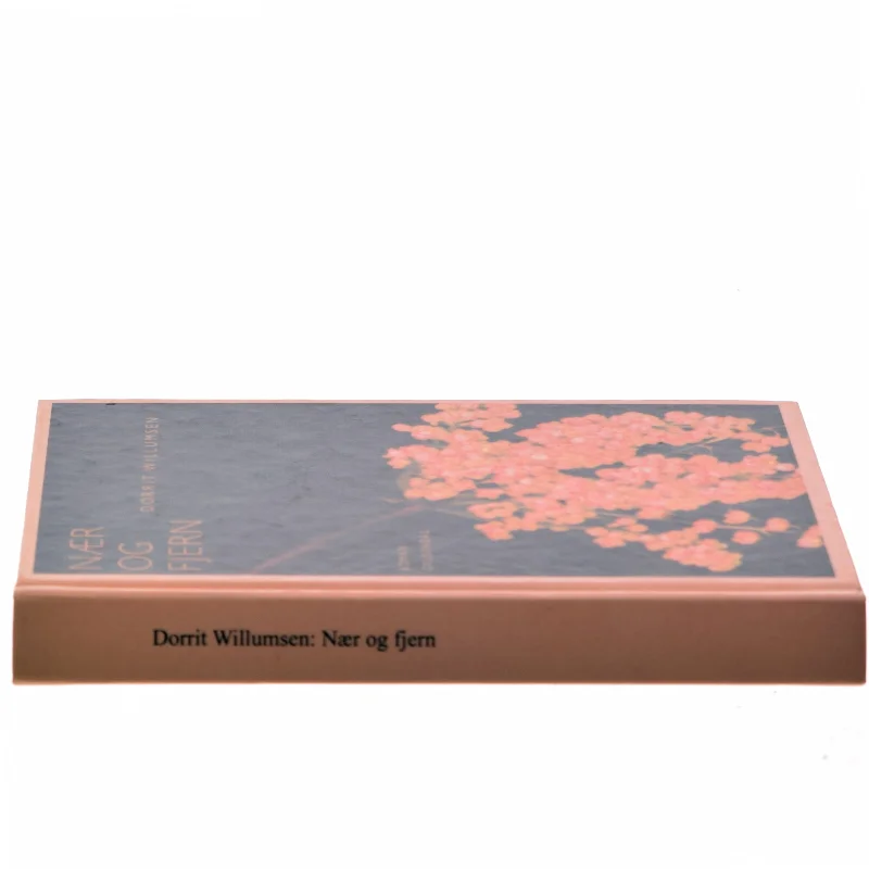 Nær og fjern af Dorrit Willumsen (Bog)
