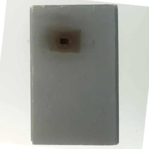 Generalen i sin labyrint af Gabriel García Márquez (Bog)