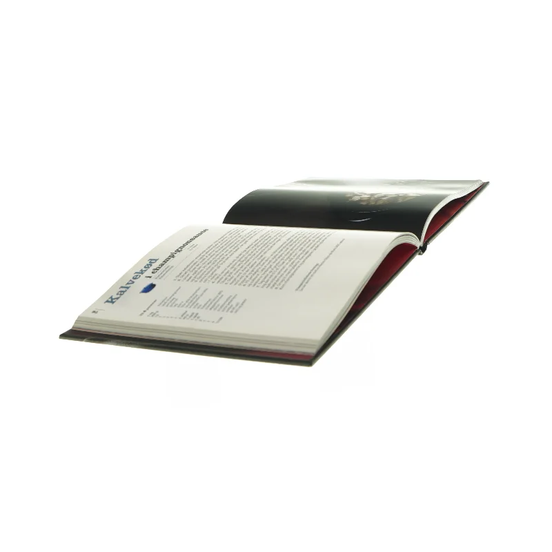 Le Creuset kogebog af Elisa Vergne m. fl (kogebog)