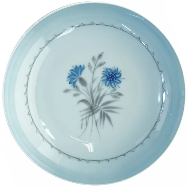 Porcelænsmiddagstallerkener fra Bing Og Grøndahl (str. Diameter 20,5 cm)