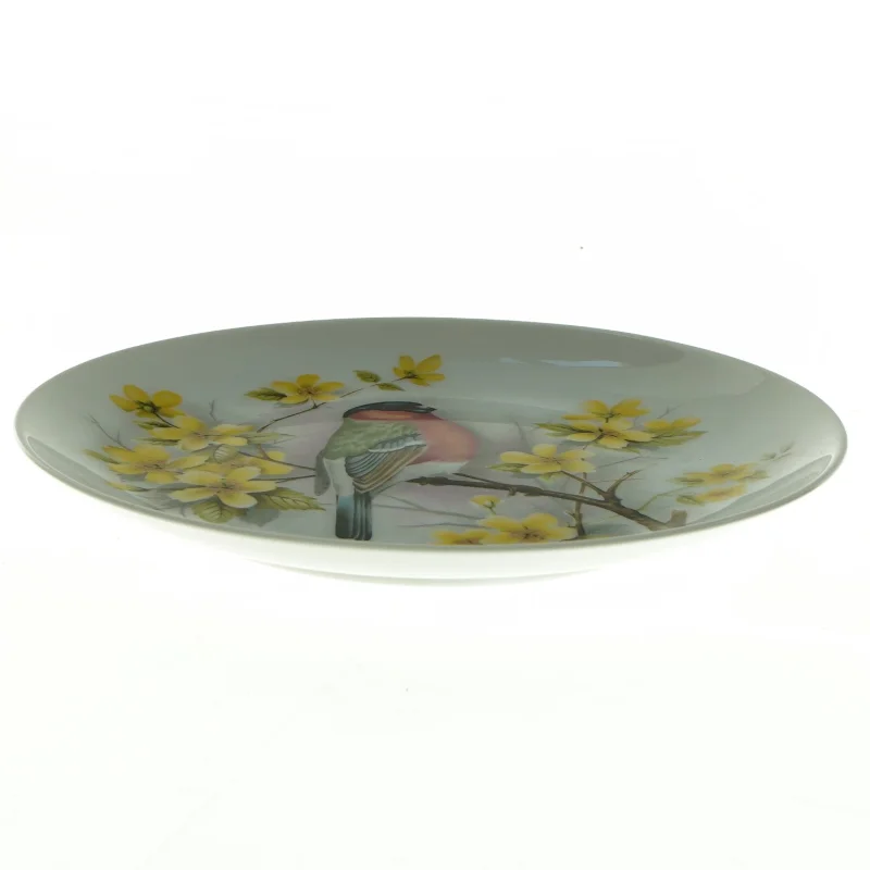 Dekorativ porcelænstallerken med fuglemotiv fra Kaiser (str. Diameter 20 cm)