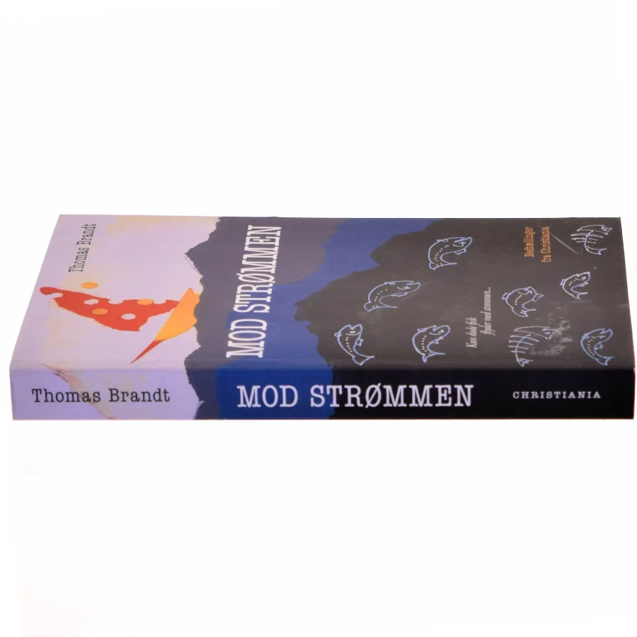 Mod strømmen, Thomas Brandt