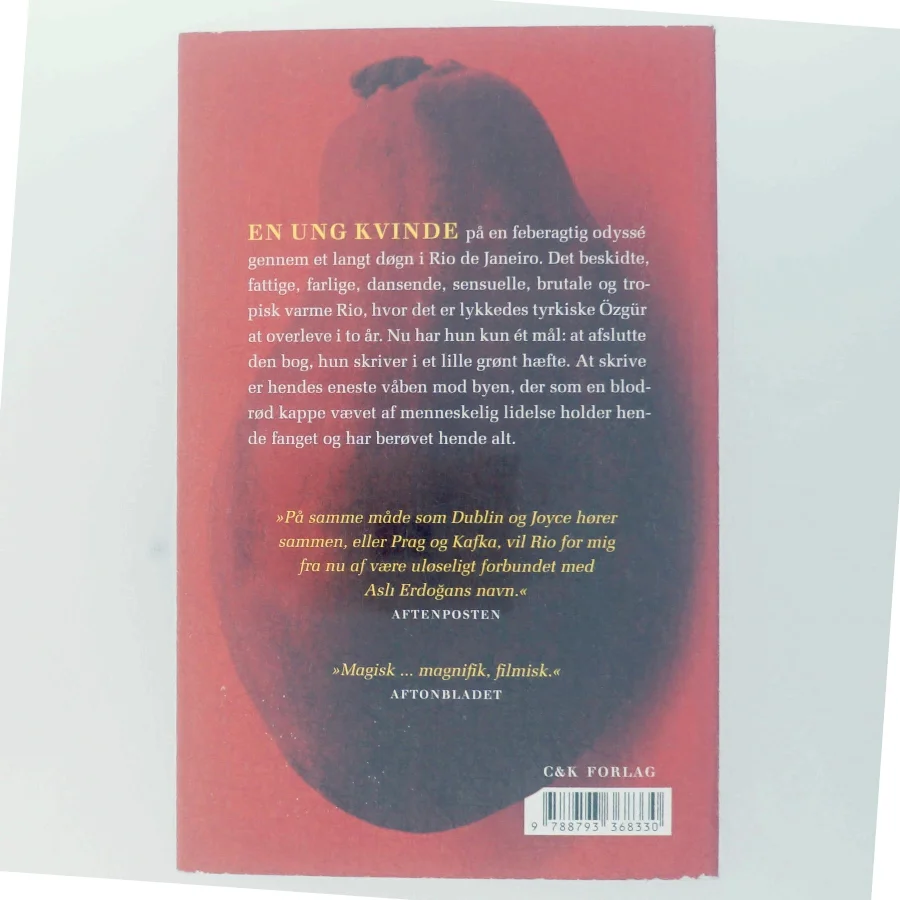 By i blodrød kappe : roman af Asli Erdogǎn (f. 1967) (Bog)