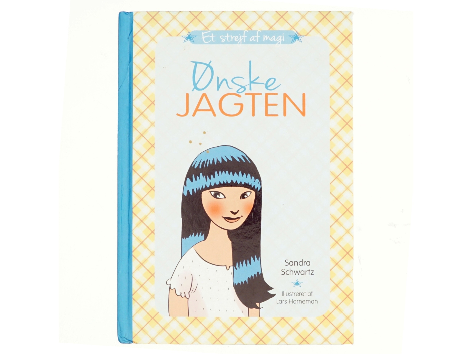 Ønskejagten. 2 af Sandra Achwartz (Bog)