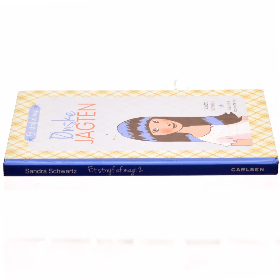 Ønskejagten. 2 af Sandra Achwartz (Bog)