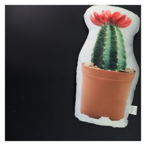 Pude med kaktusmotiv (str. 35x20x5 cm)
