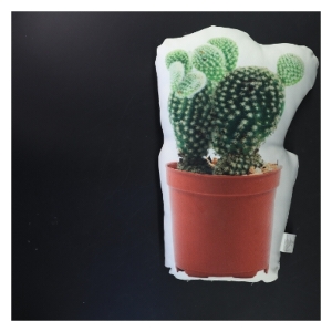 Pude med kaktusmotiv (str. 32x20x5 cm)