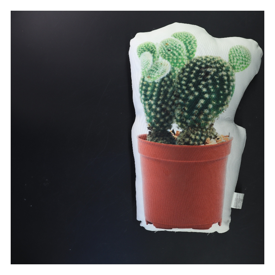 Pude med kaktusmotiv (str. 32x20x5 cm)