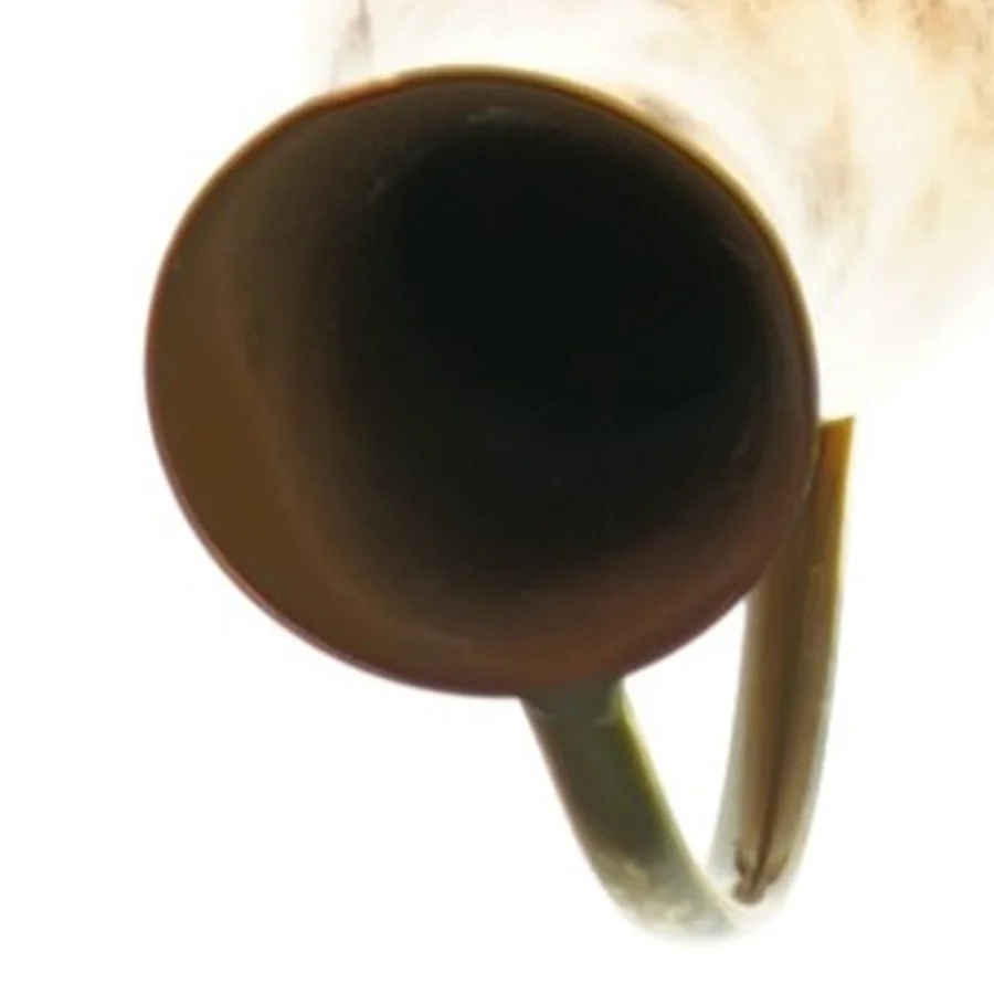 Vase // kande (str. 20 x 5 cm)