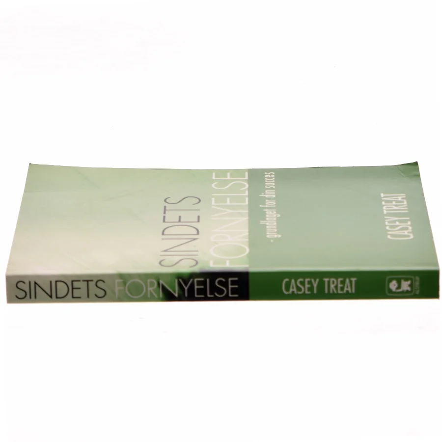 Sindets fornyelse : grundlaget for din succes af Casey Treat (Bog)