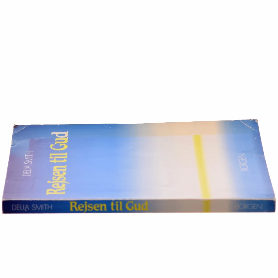 Rejsen til Gud af Delia Smith