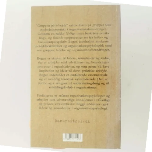 Gruppen på arbejde : organisationspsykologi i praksis (Bog)
